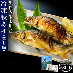 yӂ邳Ɣ[Łz鑾Y ⓀHijZbgi200g×4 v800gjyʌzVR  H Ⓚ  ^pbN ш kCӂ邳Ɣ[ ӂ邳Ɣ[ kC 