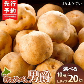 【ふるさと納税】【2025年秋発送 先行予約】じゃがいも 馬鈴薯（男爵）Lサイズ　選べる10kg～20kg 1箱10kg入り ＜JAようてい＞じゃがいも ジャガイモ 芋 男爵芋 男爵 だんしゃく いも 野菜 北海道ふるさと納税 ふるさと納税 北海道 黒松内町 通販 ギフト 贈答品 贈り物