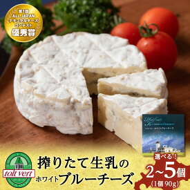 【ふるさと納税】【選べる発送月】チーズ ホワイトブルーチーズ 90g　選べる2個〜5個 ＜トワ・ヴェール＞ブルーチーズ チーズ 乳製品 青カビ 白カビ チーズ 生乳 北海道ふるさと納税 ふるさと納税 北海道 黒松内町 通販 ギフト 贈答品 贈り物