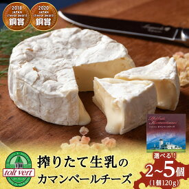 【ふるさと納税】【選べる発送月】 チーズ カマンベールチーズ 120g 選べる2個〜5個 ＜トワ・ヴェール＞カマンベールチーズ チーズ 乳製品 チーズ 生乳 北海道ふるさと納税 ふるさと納税 北海道 黒松内町 通販 ギフト 贈答品 贈り物