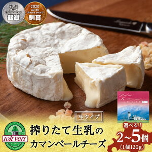 【ふるさと納税】【選べる発送月】 カマンベールチーズ(生) 120g 選べる2個〜5個 <トワ・ヴェール>カマンベールチーズ チーズ 乳製品 チーズ 生乳 北海道ふるさと納税 ふるさと納税 北