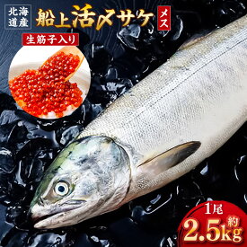 【ふるさと納税】北海道産 船上活〆サケメス 約2.5kg 1匹 メス イクラ含む サケ さけ 鮭 イクラ いくら 魚介類 水産物 魚卵 さかな 塩焼き ちゃんちゃん焼 フライ ムニエル ホイル焼き ごはんのお供 ご飯のお供 冷蔵 国産 送料無料 【2026年9月上旬～10月下旬まで発送予定】