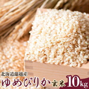 yӂ邳Ɣ[Łzy ߘa 7N Y z zY ߂҂肩 10kg y2026N3{܂ŏ\z    R 퉷 kC z 