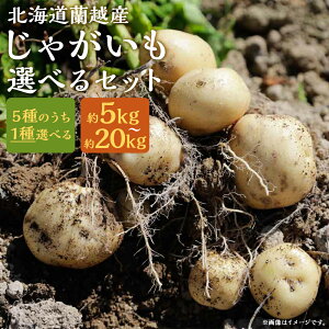 yӂ邳Ɣ[ŁzkCzYႪ 5kg/10kg/20kg 5ނ1ޑIׂZbg Iׂe j  Ƃ [NC Ohy`J zY kCY Y 