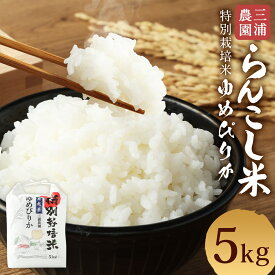 【ふるさと納税】＜令和7年産＞ 特別栽培米 らんこし米 ゆめぴりか 5kg 【三浦農園】 【2025年11月上旬発送開始】 令和7年産 お米 白米 精米 蘭越町産 北海道産 送料無料