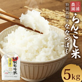 【ふるさと納税】＜令和7年産＞ 特別栽培米 らんこし米 ななつぼし 5kg 【三浦農園】【2025年11月上旬発送開始】 令和7年産 お米 白米 精米 蘭越町産 北海道産 送料無料
