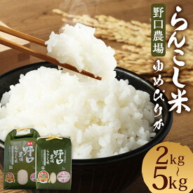 【ふるさと納税】〈令和7年産〉 らんこし米 ゆめぴりか 2kg/5kg【野口農場】選べる内容量 お米 精米 白米 ゆめぴりか 令和7年産 蘭越町産 北海道産 送料無料
