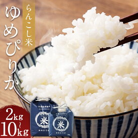 【ふるさと納税】＜選べる内容量＞＜令和7年産＞ らんこし米 ゆめぴりか 2kg/5kg/10kg お米 白米 精米 令和7年産 北海道産 送料無料 【2025年10月下旬～2026年9月下旬発送予定】