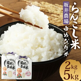 【ふるさと納税】＜令和7年産＞ ＜選べる内容量＞らんこし米 ゆめぴりか （2kg ／ 5kg） 【坂井農場】 【2025年11月上旬発送開始】 お米 精米 白米 ゆめぴりか 令和7年産 蘭越町産 北海道産 送料無料 北海道 蘭越町 常温