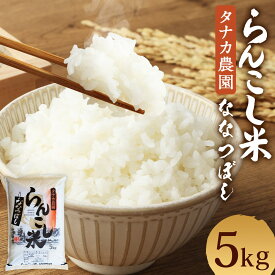 【ふるさと納税】〈令和7年産〉 らんこし米 ななつぼし 5kg【タナカ農園】 お米 白米 精米 令和7年産 北海道産 送料無料【順次発送】