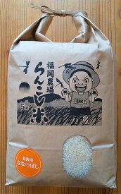 【ふるさと納税】＜令和7年産＞ らんこし米 ななつぼし 5kg【福岡農場】 【2025年11月上旬発送開始】 お米 精米 白米 ななつぼし 令和7年産 蘭越町産 北海道産 送料無料