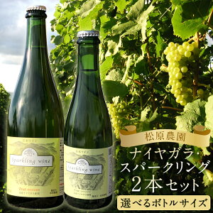 yӂ邳Ɣ[ŁziCKEXp[NO 2{Zbg n[t{g(375ml)/t{g(750ml) Iׂe Xp[NO  C _ z 