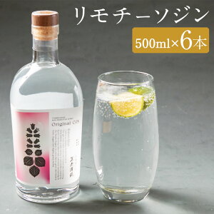 yӂ邳Ɣ[Łz`[\W 500ml 1{/6{ Iׂ{  W AR[ h z  yVX[p[SALE 9J