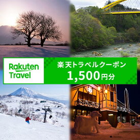 【ふるさと納税】北海道ニセコ町の対象施設で使える楽天トラベルクーポン 寄附額5,000円（クーポン1,500円分）【99001】