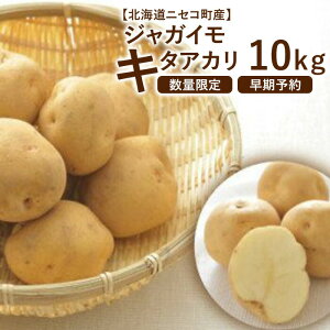 yӂ邳Ɣ[ŁzV Ⴊ 10kg L^AJ k   WKC n鏒 VႪ kCY \ 9  O  ӂ邳Ɣ[ kC jZR j
