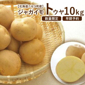 yӂ邳Ɣ[ŁzV Ⴊ 10kg  gE Ƃ  WKC n鏒 VႪ kCY \ 9  O  ӂ邳Ɣ[ kC jZR jZRy0202602