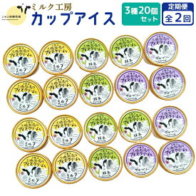 【ふるさと納税】【定期便：全2回】ニセコ高橋牧場ミルク工房 カップアイス3種20個セット【03129】