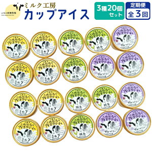 【ふるさと納税】【定期便:全3回】ニセコ高橋牧場ミルク工房 カップアイス3種20個セット【03130】