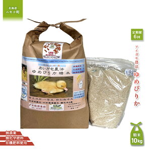 yӂ邳Ɣ[ŁzsʌstIߘa7NYāty6ցz_@߂҂肩 yĎdlāzyL@엿/_Ew엿E~pzߘa7Nx 10kg(1kg×10) c