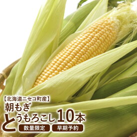 【ふるさと納税】 とうもろこし 10本 北海道産 先行受付 野菜 予約 7月下旬 おうち おうちグルメ お取り寄せ ふるさと納税 北海道 ニセコ ニセコ町 【02023】