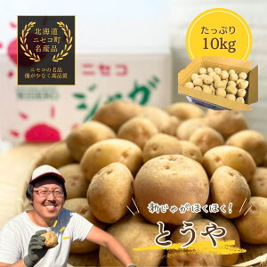 yӂ邳Ɣ[Łzs2025NttȂ߂炩ȐGɊ!kCjZRYuƂvVႪ10kg/_y37006z