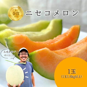 【ふるさと納税】《2026年分受付中》糖度13度以上!市場には出回らない北海道ニセコメロン1玉(1.6kg以上)/高橋農園【3700101】
