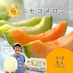 《2026年分受付中》糖度13度以上!市場には出回らない北海道ニセコメロン4〜6玉(1箱8kg)/高橋農園【3700301】