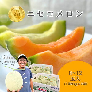 yӂ邳Ɣ[Łzs2026Nttx13xȏ!sɂ͏oȂkCjZR8`12ʁi18kg×2j/_y3700401z