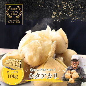 yӂ邳Ɣ[Łzs2025NttÂĂقق!kCjZRYuL^AJvVႪ10kg/_y37005z