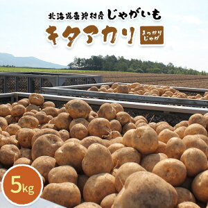yӂ邳Ɣ[ŁzÂăzNzNIžՂƗт@kC^둺YႪ@L^AJu܂肶Ⴊv5kgy2025NYzy0113301z