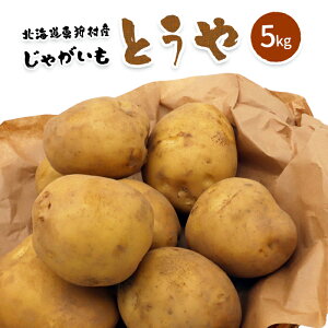 yӂ邳Ɣ[ŁzyVႪzžՂƗт@kC^둺YႪEƂ 5kgy2025NYzy0113701z