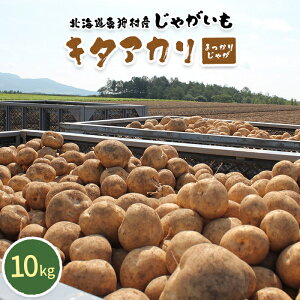 yӂ邳Ɣ[ŁzÂăzNzNIžՂƗт@kC^둺YႪ@L^AJu܂肶Ⴊv10kgy2025NYzy0114501z