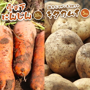 yӂ邳Ɣ[ŁzkC^둺Y@̉ɂ񂶂10kgƉz~Ⴊ5kg AZbg(L^JC) y2026Nt͂zy0115301z