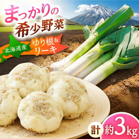 【ふるさと納税】【2026年11月上旬以降順次発送】 ゆり根とリーキ 計3kg | ゆり根 リーキ 野菜 やさい 北海道 産地直送 先行予約 | 道の駅 真狩フラワーセンター[BPAM022]