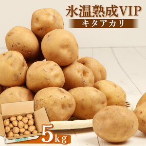 yӂ邳Ɣ[ŁzXnVIP L^AJ 5kg   C Ⴊ WKC  IC \ ӂ邳Ɣ[ kC s  zNzN Yn VN Ⴊo^[ |eg