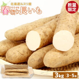 【ふるさと納税】ルスツ産春掘り長いも3kg ルスツ産秋掘り長いも 春掘り 長いも 長芋 ながいも 留寿都産 ふるさと納税 北海道 留寿都村 オンライン 野菜 やさい いも 芋 3kg 北海道 ルスツ 留寿都 長芋 長いも 春掘り【1300701】