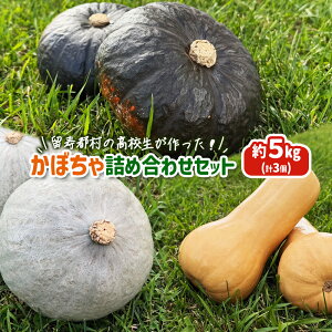 【ふるさと納税】留寿都村の高校生が作った!かぼちゃ詰め合わせセット【23004】