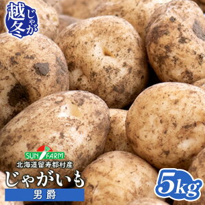 yӂ邳Ɣ[Łzz~Ⴊ j 5kg    C WKC |eg 񂵂Ⴍ IC \ ӂ邳Ɣ[ kC s   Yn VN ̂ꂽ |egT_ 