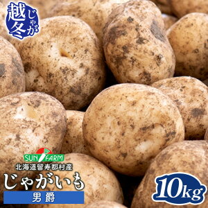 yӂ邳Ɣ[Łzz~Ⴊ j 10kg    C WKC |eg 񂵂Ⴍ IC \ ӂ邳Ɣ[ kC s   Yn VN ̂ꂽ |egT_ 
