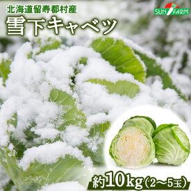 【ふるさと納税】雪下キャベツ 約10kg 2 きゃべつ 越冬 オンライン 申請 ふるさと納税 北海道 留寿都 野菜 旬野菜 季節野菜 甘い みずみずしい 産地直送 新鮮 採れたて サラダ ポトフ 野菜炒め 汁物 カレー 約10キロ 留寿都村【24010】