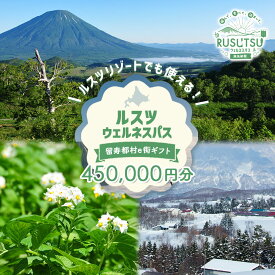 【ふるさと納税】留寿都村e街ギフト ルスツウェルネスパス 450,000円分【99108】