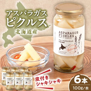 yӂ邳Ɣ[ŁzAXpKX sNX 6{sΕʒtyׂόz AXp zCgAXp zCgAXpKX   Mtg  퉷 퉷z kC Mtg [AJA