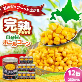 【ふるさと納税】北海道産 自然甘ホールコーン 12缶《喜茂別町》【きもべつ観光協会】 コーン コーン缶 とうもろこし トウモロコシ 缶 缶詰 北海道 常温 常温配送 [AJAG019] 9000 9000円