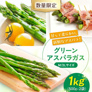 yӂ邳Ɣ[Łzy2026N5{ȍ~zkC AXp 1kg M / 2L TCY sΕʒtyjZRr[vUgz s\ AXpKX O[AXp ①  