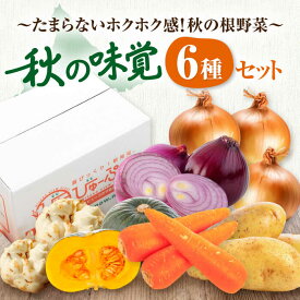 【ふるさと納税】【2026年11月中旬以降順次発送】先行予約 北海道産 秋のうまいもん 6種セット 《喜茂別町》【ニセコビュープラザ直売会協同組合】先行予約 セット 詰め合わせ 秋野菜 冬野菜 季節の野菜 玉ねぎ たまねぎ じゃがいも 北海道 [AJAH024] 16000 16000円