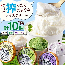 【ふるさと納税】北海道 ミルク工房 カップアイスセット 10個 《喜茂別町》【ニセコリゾート観光協会】 アイス アイスクリーム ジェラート ミルク 抹茶 ブルーベリー ギフト セット カップアイス 詰め合わせ [AJAI011] 11000 11000円