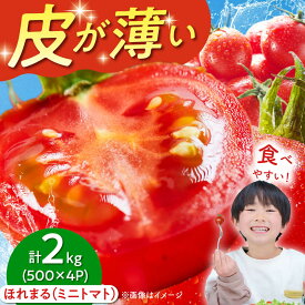 【ふるさと納税】【楽天限定！特別寄附額】先行予約 ミニトマト 『ほれまる』 （500g×4パック）《喜茂別町》【富田農園/スプレス】 トマト ミニトマト 野菜 夏野菜 先行予約 朝採れ 採れたて 季節の野菜 サラダ お弁当 おかず [AJAJ012]