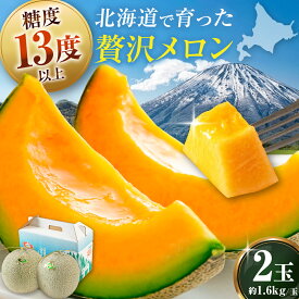 【ふるさと納税】先行予約 赤肉メロン 2玉 計3.2kg 《喜茂別町》【Aコープようてい】 先行予約 数量限定 メロン 赤肉 フルーツ 果物 贈答用 お取り寄せ 果肉 国産 産地直送 北海道 北海道産 送料無料 人気 美味しい おすすめ 希少 高糖度 常温 JA [AJAK004] 13000 13000円