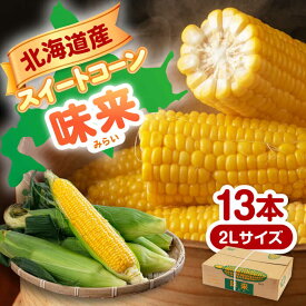 【ふるさと納税】先行予約 スイートコーン 味来 13本 計4.5kg《喜茂別町》【Aコープようてい】 とうもろこし トウモロコシ スイートコーン 季節の野菜 夏野菜 野菜 先行予約 産地直送 北海道 朝採れ コーン 贈答 朝もぎ 2L 送料無料 冷蔵 糖度 [AJAK006] 11000 11000円