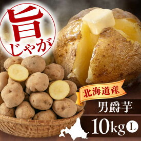 【ふるさと納税】北海道 新じゃが じゃがいも 男爵芋 10kg 《喜茂別町》【Aコープようてい】ジャガイモ じゃがいも 新じゃが 新じゃがいも 野菜 季節の野菜 秋野菜 詰め合わせ 産地直送 [AJAK008] 8000 8000円 8千円